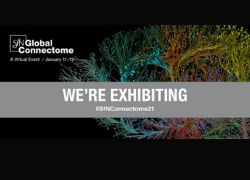 SfN Global Connectome