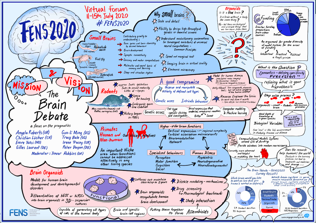 The Brain Debate at FENS 2020