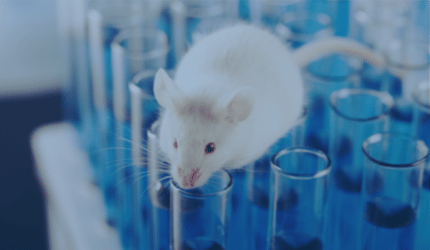Committee on Animal Research (CARE)