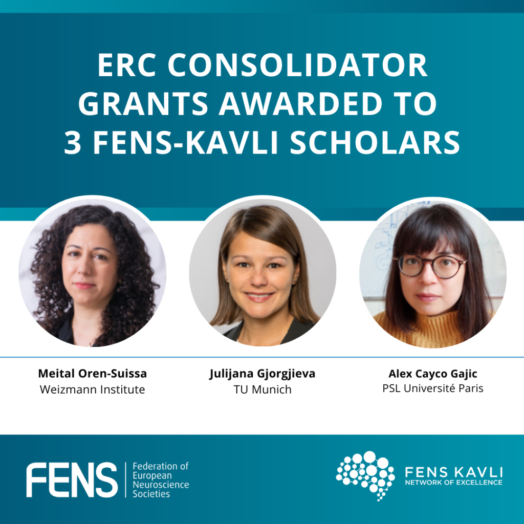 ERC Consolidator Grants